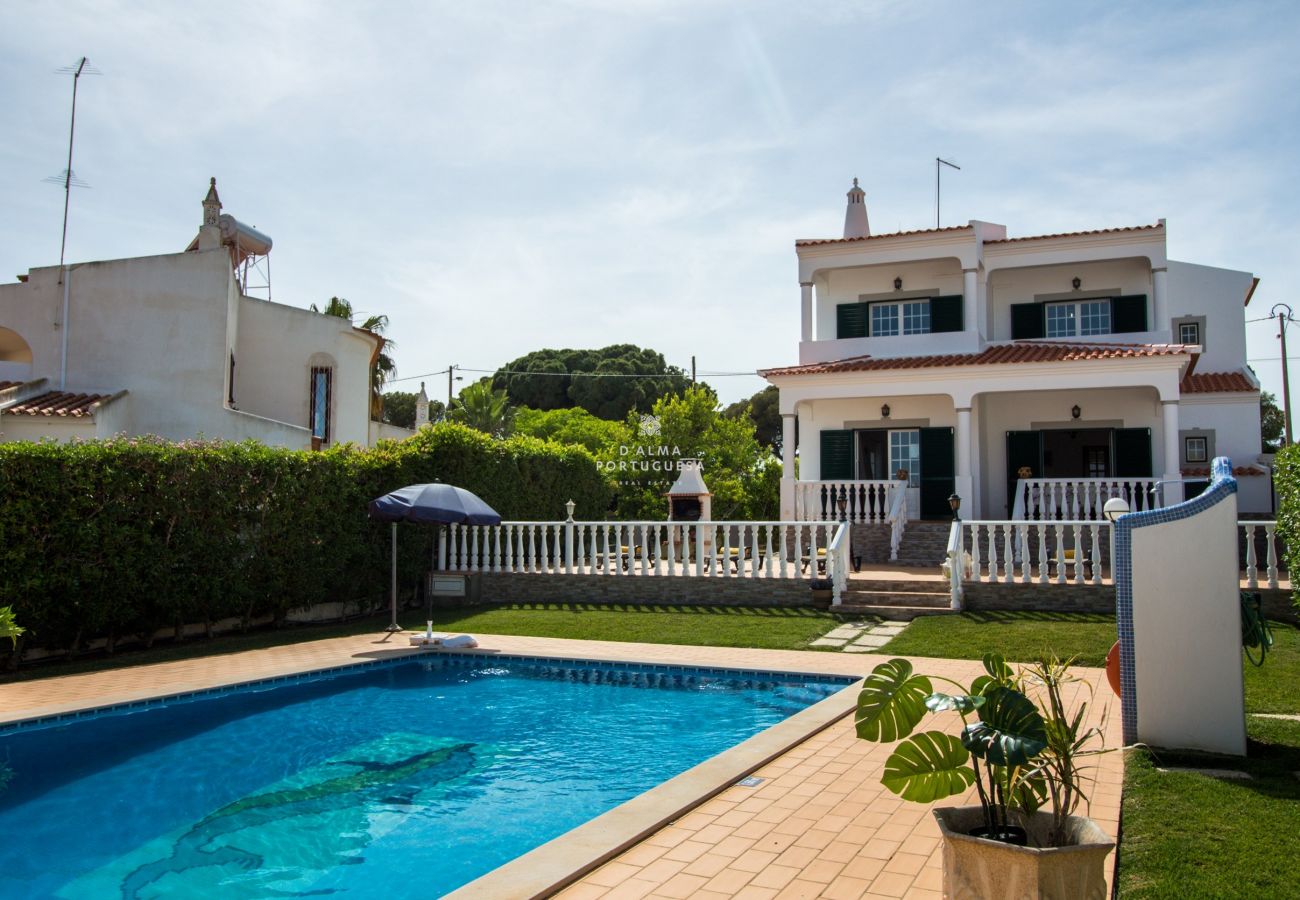 Villa in Albufeira - Dalma - Villa Medronheiro